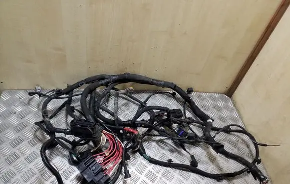 Renault Trafic III (X82) Other wiring loom 243514171R