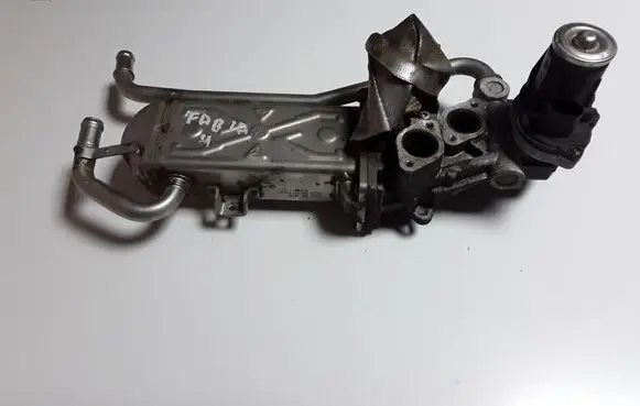 Skoda Fabia Mk2 (5J) EGR valve 03L131512BH