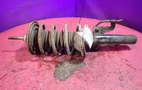Front shock absorber with coil spring