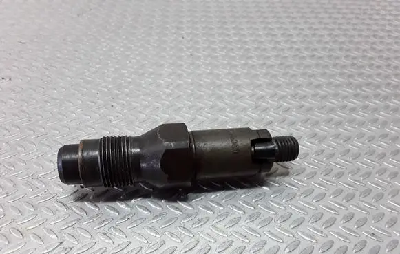 Peugeot Partner Fuel injector LCR6736001
