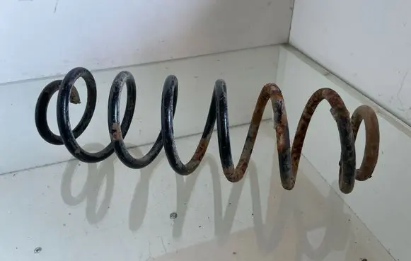 Rear coil spring