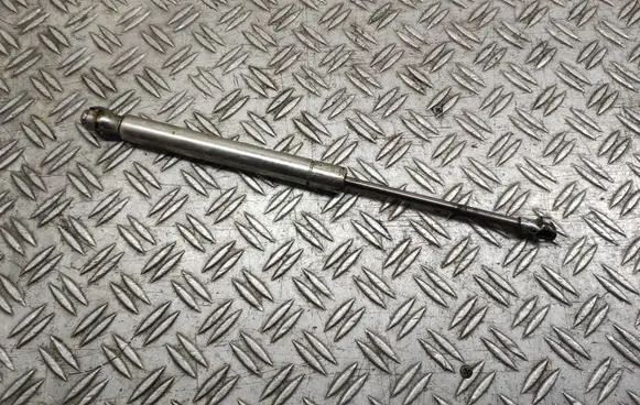 Tailgate/trunk strut/damper