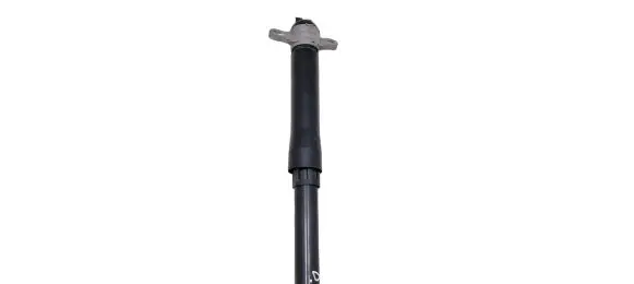 Ford Escape IV Rear shock absorber/damper LX6118080 LX6118080NBH GQXWF
