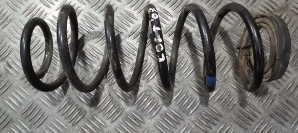 Rear coil spring