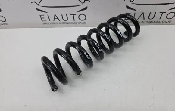 Rear coil spring