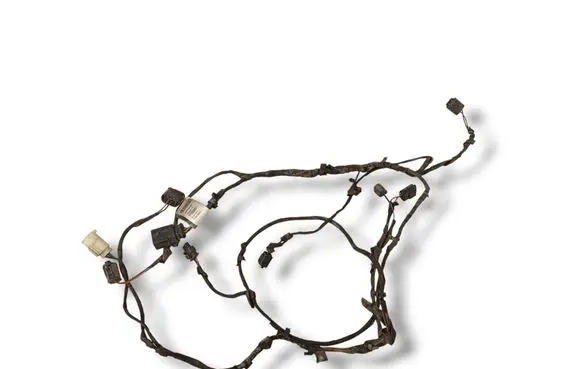 Other wiring loom