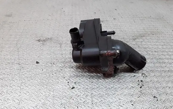 Thermostat/thermostat housing