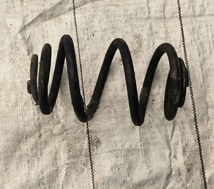 Rear coil spring