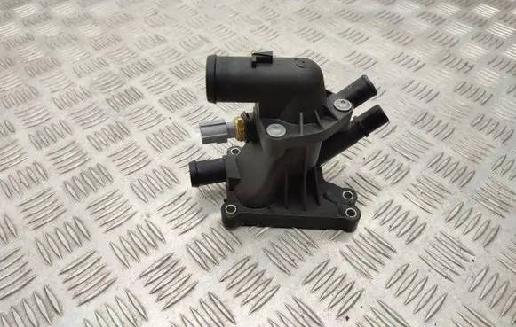 Thermostat/thermostat housing