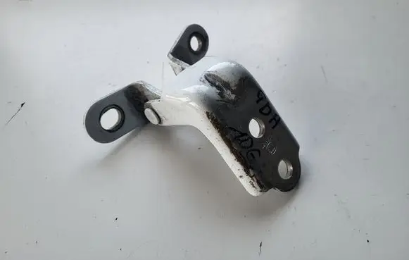 KIA Sportage Rear door lower hinge