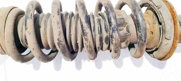 Rear coil spring