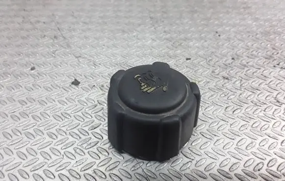 Renault Espace - Grand espace IV Coolant expansion tank/reservoir cap 
