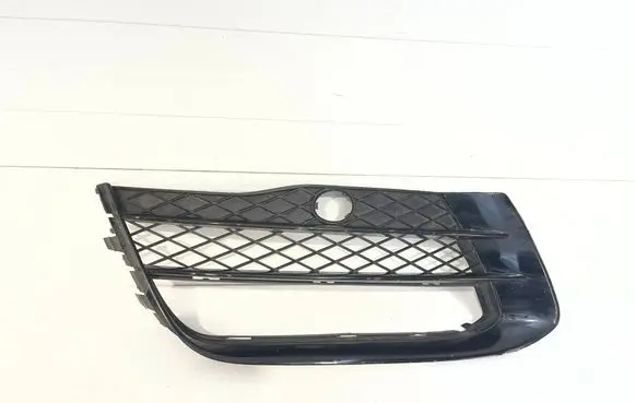 Audi R8 4S Front bumper lower grill 420807684A