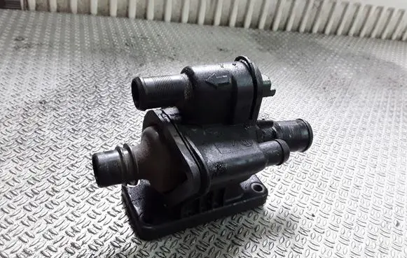 Thermostat/thermostat housing