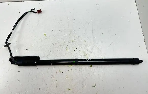 Tailgate/trunk strut/damper