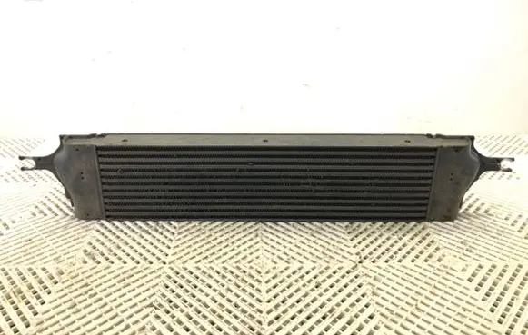 Renault Koleos I Intercooler radiator 14461JG70B