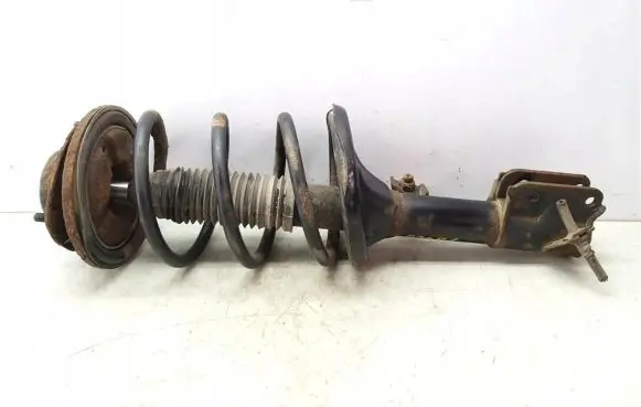 Hyundai Santa Fe Front shock absorber with coil spring