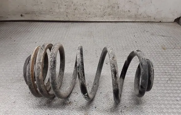 Rear coil spring