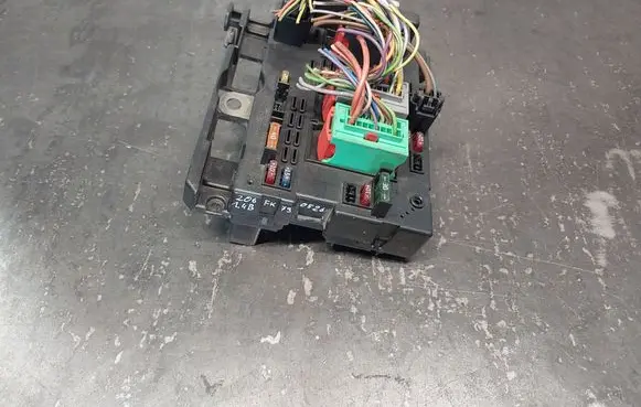 Peugeot 206 BSM Control unit 9650664180