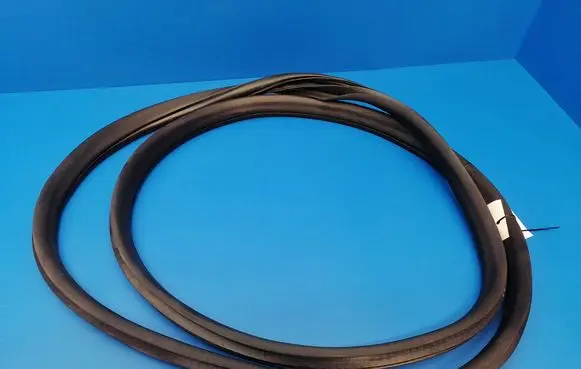 Land Rover Discovery 5 Front door rubber seal