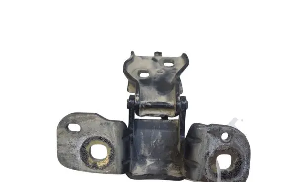 Tailgate/trunk/boot hinge