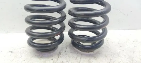 Rear coil spring