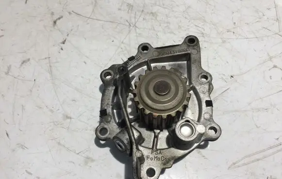 Citroen Jumper Water pump 9684319880