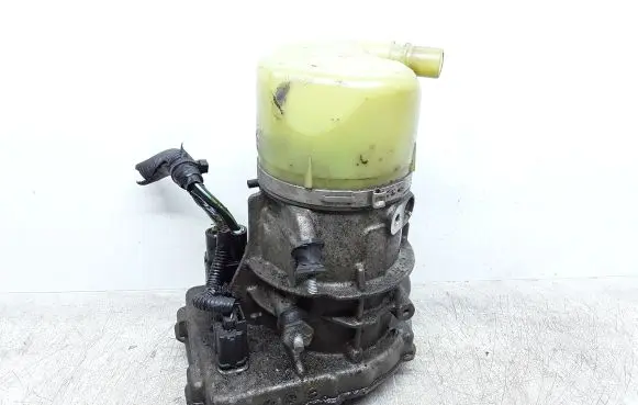 Electric power steering pump