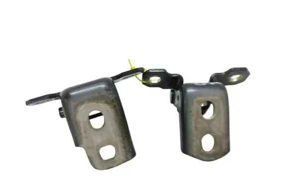 Renault Laguna III Rear door hinge set 