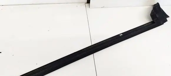 Tesla Model 3 Front door glass trim molding 1090503