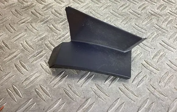 Rear/tail light trim molding