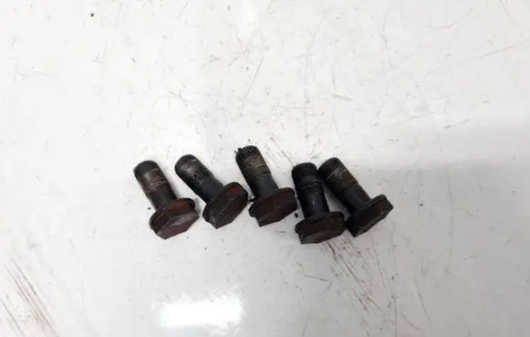 Nuts/bolts