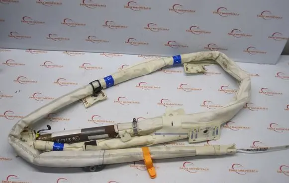 Volkswagen Tiguan Roof airbag 5N0880742D