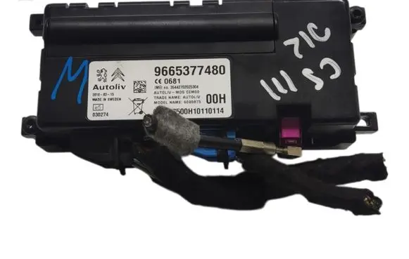 Citroen C5 Voice control module 9665377480