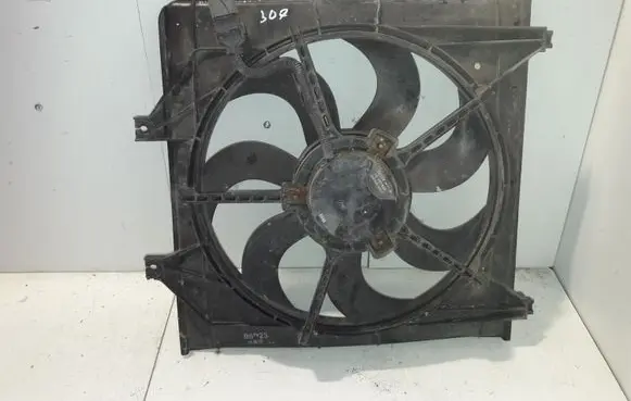 KIA Carnival Electric radiator cooling fan