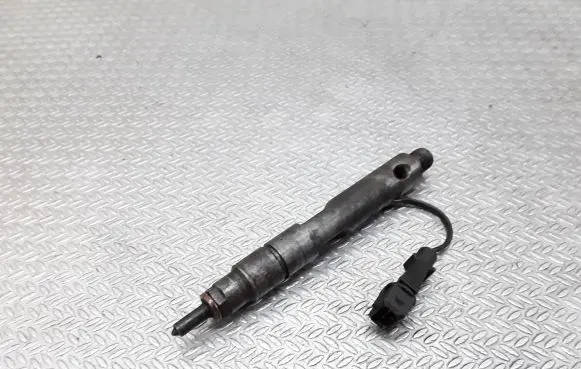 Renault Scenic I Fuel injector 0432193754