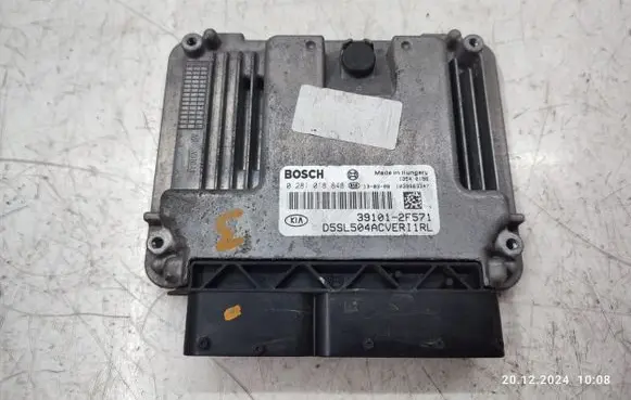 KIA Sportage Engine control unit/module 391012F571