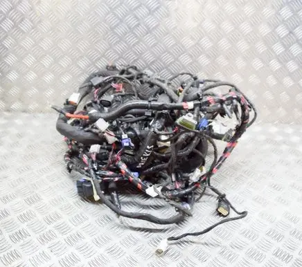 Tesla Model S Other wiring loom 102664692J