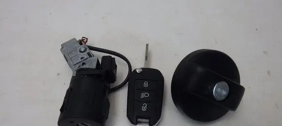 Citroen C3 Ignition lock 9663123380