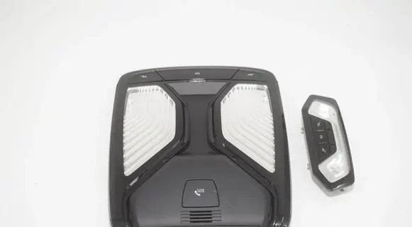 BMW 3 G20 G21 Front seat light 5A43496 7910812 63317910812