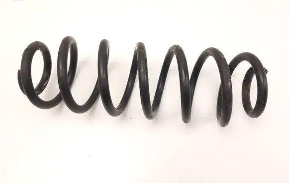 Rear coil spring