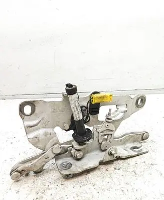 BMW 6 F06 Gran coupe Engine bonnet/hood hinges 7249888