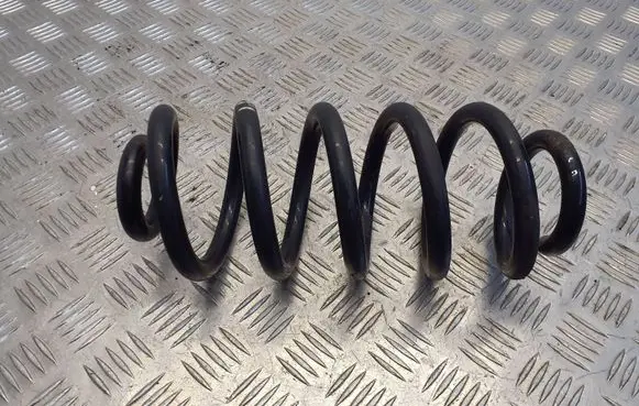 Rear coil spring