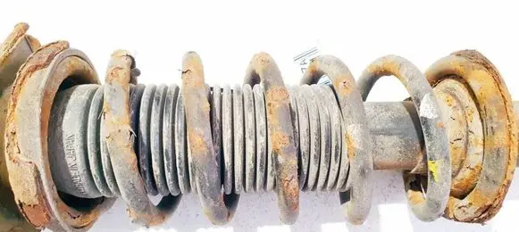 Rear coil spring