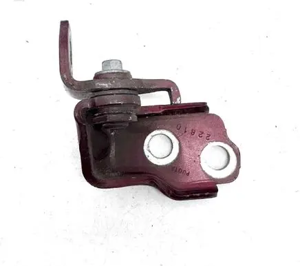 Ford Fusion II Rear door lower hinge P001A 22810
