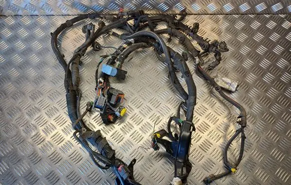 Citroen Berlingo Engine installation wiring loom 9649860080 9654560380