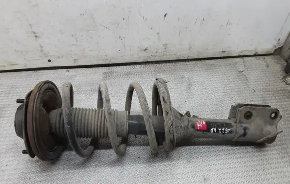 Hyundai Santa Fe Front shock absorber with coil spring