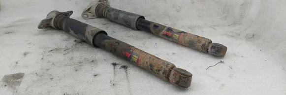 Rear shock absorber/damper