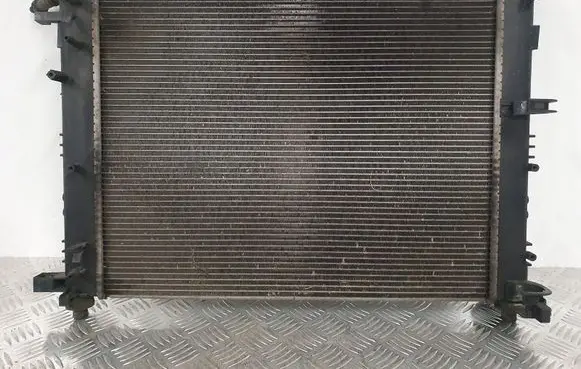 Renault Sandero II Other interior part 214107326R