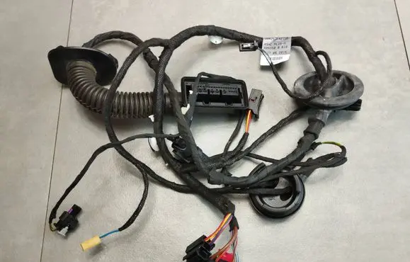 Rear door wiring loom